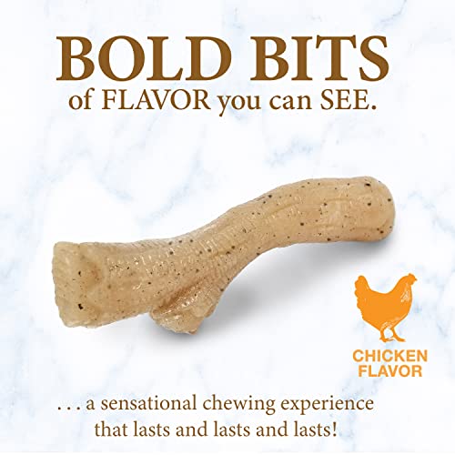 Nylabone Gourmet Style Stick Strong Chew Toy for Puppies, Soothing Puppy Teething Toys, Puppy Enrichment, Chicken Flavor, Medium - Up to 35 lbs., 1 Count by Nylabone - Image 2