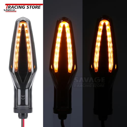 Feu de signalisation LED pour remplacer vos clignotants Street Triple - 2