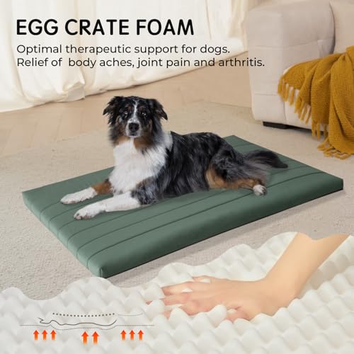 BALANCE Almofada de caixa (folha de hortelã, 106,7 cm x 71 cm x 5 cm)