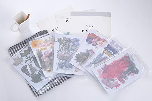 17 Types 48Pcs Real Dried Pressed Flowers Leaf Plant Herbarium For Diy Resin Jewelry Making Floral Decors(Colorful) #TOP6