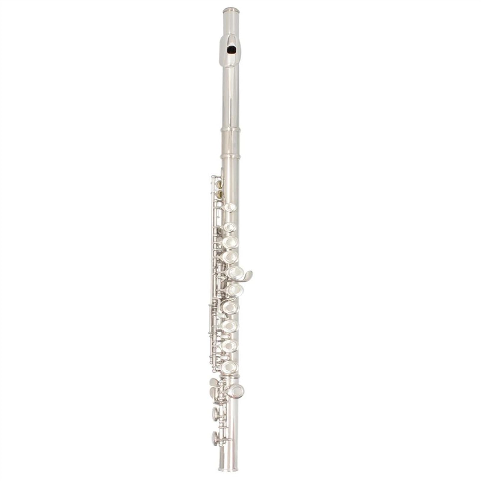 Flauta C De 16 Agujeros, Flauta De Concierto Chapada En Plata De Cuproníquel Abierta Cerrada Con Llave E Y Accesorios De Caja Flauta Travesera Kit