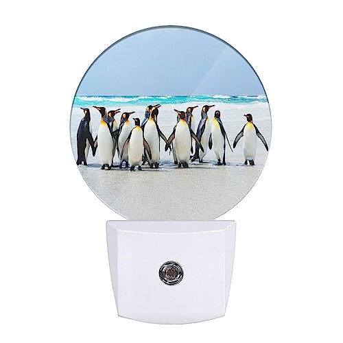 Image of King Penguins Nightlight Antarctic Penguin Cute Animal LED Dusk to Dawn Plug-in Nightlight Auto Sensor for Bedroom Bathroom Hallway Living Room