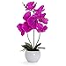 Bornbridge Artificial Orchid - Fake Orchid Plant with Real Touch Flowers - Faux Orchid with Long Stem Artificial Flowers - Potted Orchid/Plastic Orchid Fake Flowers (2 Pack, Violet - Large)