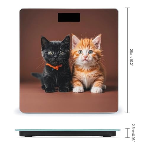 Báscula Digital Cute Kitten Blanco y Naranja 400 lb miniatura 2