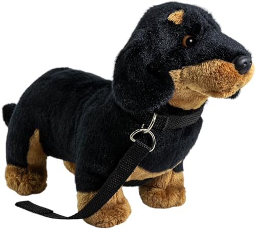 Why are sausage dogs long