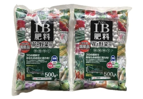 QZbg Y ha엿 500 × 2 iv1j Ɍ엿