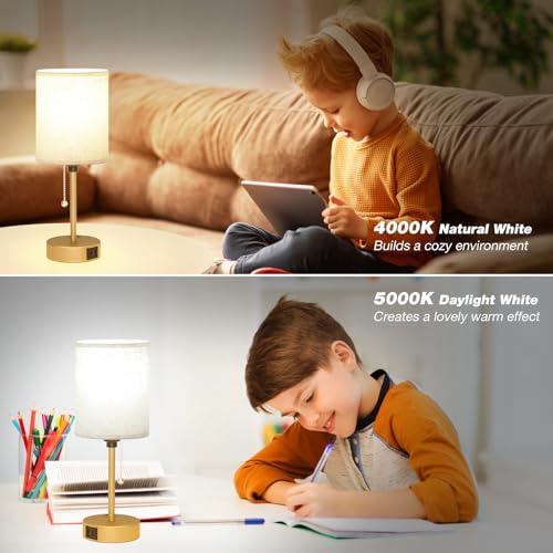 Image of Small Bedside Table Lamp for Bedroom, Desk Lamp with USB Ports for Dorm