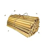 INature Bamboo Craft Tubes - 100 Count, 5' Eco-Friendly Sticks for DIY Bee Hotels, Solitary Bee Hives, and Pollinator Gardens