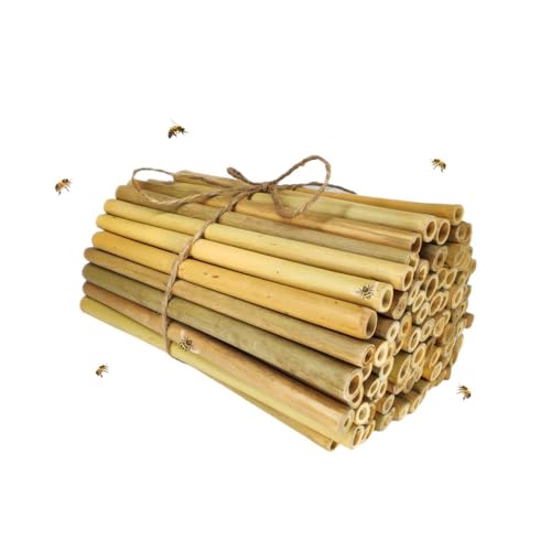 INature Bamboo Craft Tubes - 100 Count, 5" Eco-Friendly Sticks