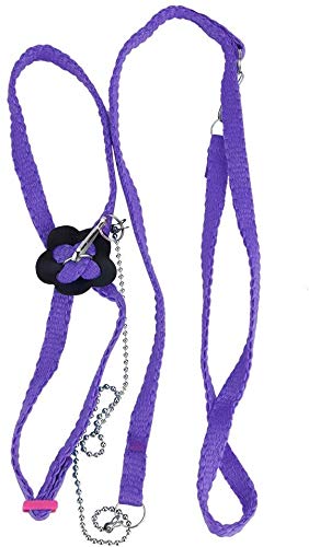 鳥用 ハーネス リード 鳥用トラクションロープ 鳥ハーネス リーシュ リード 縄 ロープ 調節可能 小動物 散歩 オウム インコ鳥お出かけ用品 パープル Amazon 楽天 ヤフー等の通販価格比較 最安値 Com