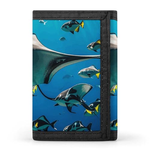 Manta Ray And Fishes Slim Wallets for Men Money Clip Card Holder Wallet Men's Trifold Wallet And Coin Pocket