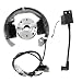 FLYPIG Stator Rotor and Ignition Coil Flywheel for KTM50 SX Pro Junior Sr Jr KTM 50 Adventure 2000 - 2013