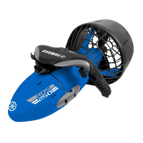 YAMAHA RDS200 シースクーター YAMAHA RDS200 シースクーター | Costco Japan