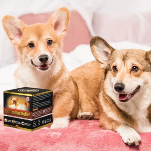 GastroBalance Hund blähungen – 60 weichen kausnacks gegen blähungen Hund 100% natürliche wirkstoffe (Bacon-Geschmack)