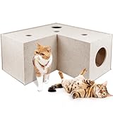 NICERINC PET