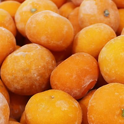 ぷち冷凍みかん約1.5kg 愛媛みかん ぷちサイズ(2S・3S中心) 23〜40個程度