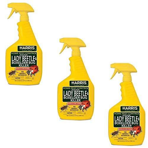 Compare price to box elder bug spray