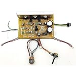 TECH-AND-TRADE-2030-IC-Based-DIY-Home-Theater-21-Sub-Woofer-Amplifier-Board