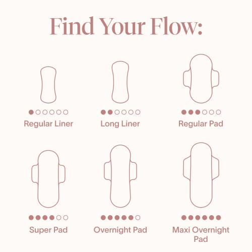 The 12 Best Cora Panty Liners of 2024 [Verified] Cherry Picks