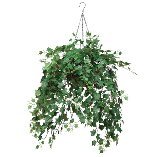 OakRidge Fully Assembled Ivy Hanging Basket, English Green