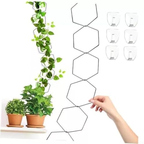 Lot de 18 treillis hexagonaux pour plantes grimpantes avec crochets muraux, pour philodendron, hoya, lierre et même légumes, favorisent une croissance vigoureuse