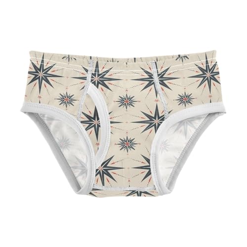 visesunny Boys Potty Training Underwear Kaleidoscope Compass Pattern Breathe Cotton Briefs Size 2T-8Y for Toddler
