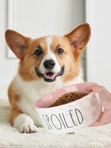 WoofinPets Keramik-Hundenapf, 15,2 cm, kleiner Futternapf, robust, rutschfest, für mittelgroße Hunde, lebensmittelechtes Porzellan, mikrowellen- und spülmaschinenfest, Rosa