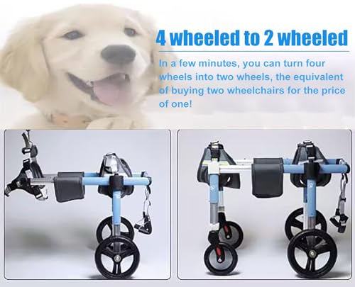 Silla de ruedas para perros: ayuda de movilidad canina integral 6