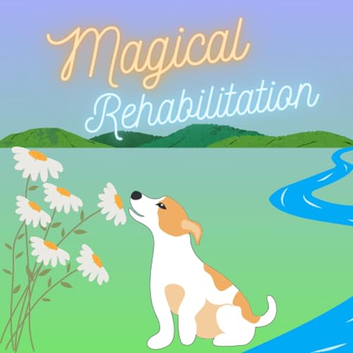 『Magical Rehabilitation』のカバーアート