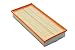 GKI AF11062 Air Filter