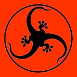 Disco Gecko Recordings