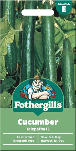 Mr Fothergill's Cucumber 'Telepathy F1' Seeds for Planting UK – Early Cropping Greenhouse Variety – Long, Smooth Fruits – Ideal for Grow Bags & Cold Frames – Salad Vegetable