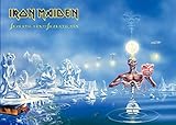 OFFIZIELL LIZENSIERTE ARTWERKE: Wir arbeiten mit den größten Marken da draußen zusammen und unsere Liste der Partner wächst ständig - Ironmaiden ist nur einer von ihnen!