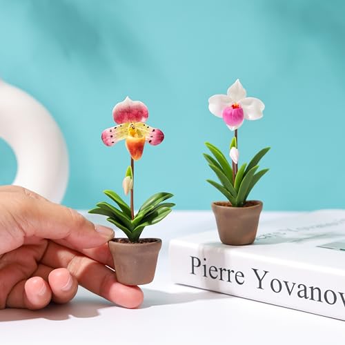 Set de 2 imanes decorativos orquídea Paphiopedilum 3D miniatura 5
