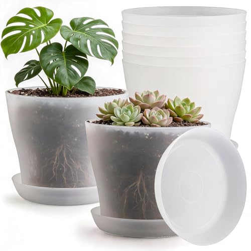 6 Pack 8 Inch Clear Nursery Pots Plant Pots with Large Drainage Holes & Saucer Plastic Translucent Flower Pots - Durable Outdoor/Indoor Planters for Succulents Herbs Cacti Ideal Gardening Gifts