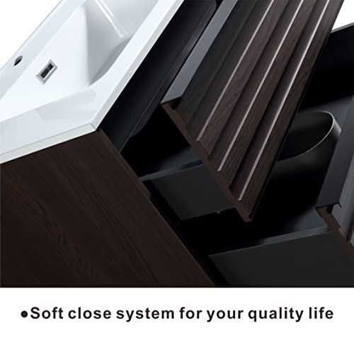 Jindoli 30 Inch Bathroom Vanity With Sink Combo, Floating Vanity Bathroom, Floating Vanity With Sink 30", Wall Mounted Bathroom Vanity With Sink, 2 Drawers. #TOP4