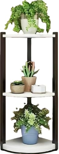 Slystar R[i[bN TChe[u R[i[VFt [I u A u t[X^h  l炵  k  AeB[N ϗtA K[fjO Lb` gC  oRj[ (B) [sAi