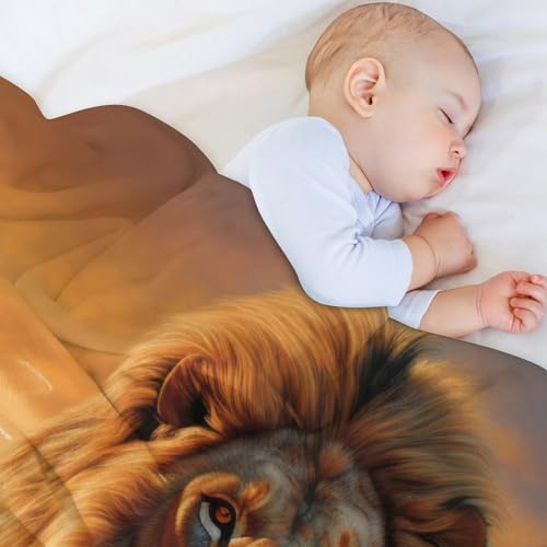 Couverture canapé lion chaude flannel contre les frissons du soir