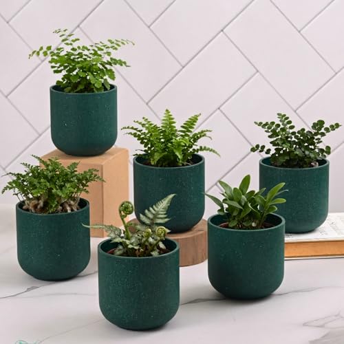 Image of Eha Earth-Friendly Terrapod Planters for Home Decor | 3.5 Inch, Pack of 6 | Small Plant Pot Made with Rice Husk Biocomposite | Flower Pot for Living Room | Fern