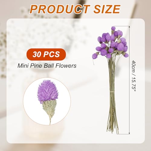 Mini flores secas bola de pino 16 pulgadas 30 piezas miniatura 2
