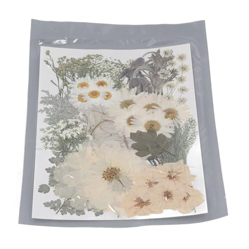 Kit de 100 hojas secas de flores prensadas para manualidades, suministros de resina para álbumes de recortes