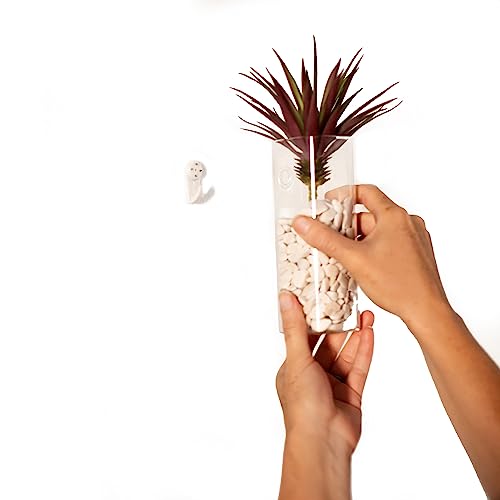 Kenter Home Wall Planters For Indoor & Outdoor Plants - Hanging Glass Plant Holder For Succulents, Air Plants, Herbs, Flowers & Vertical Gardens - Best Vase Planter For Mount In Garden Or On Fence #TOP1