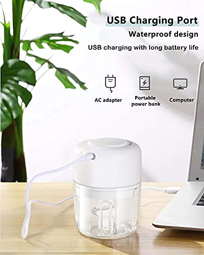 Ayotee Cordless Electric Small Food Choppers, Mini Food Processor For Garlic Veggie Vegetables Fruit, Salad Mincing & Puree,Kitchen, 1 Cup 250Ml, Bpa Free, White #TOP2