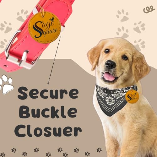Image of Sage Square Stylish Dog Collar Scarf - Adjustable, Comfortable, Fashionable Accessory for Pets, Soft & Durable Fabric, Dog Breeds, Ideal for Daily Use, Special Occasions (Random)