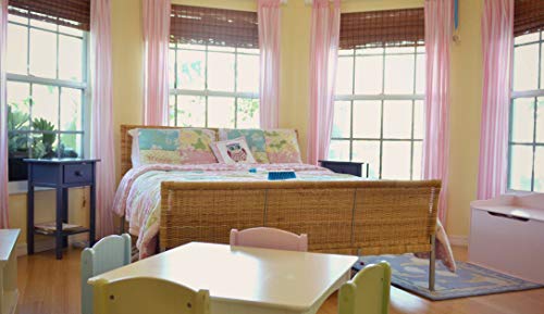 Soft Bristle Cleaning Brush Hand Brushs Bed Hair Dust Removal Scrubber Cleaner For Family Trip Sofa Furniture , Blue #TOP5