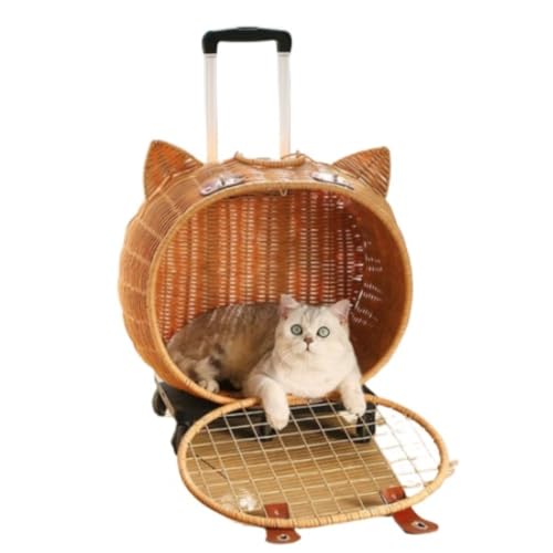 MomglaybgL[obO @\ L- J-g  ^ ِybgL- bN X^-t L Lp L[ J[g  ^ ybgL[P[X ܂ OhCu s ʉ@ h p ړ o֗ 2 W