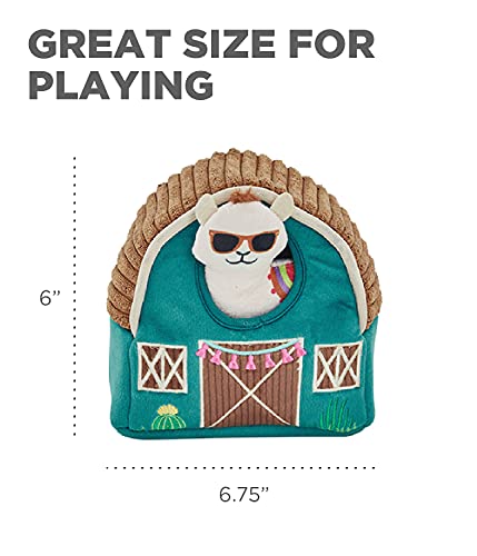 https://m.media-amazon.com/images/I/41jPQLryoWL._SL500_.jpg