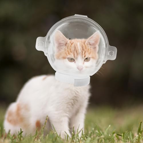 Burbuja de proteccion para gatos en consultas veterinarias y peluqueria 6