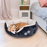 Domarex Hundebett Katzenbett 57x52x16 cm weich und flauschig - gemütliches Haustierbett mit erhöhtem Rand - Anti-Rutsch-Boden - robust, pflegeleicht - Kuschelbett für Hund & Katze - Weiß/Grafit
