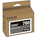 Epson T760120 UltraChrome HD Photo Black Standard Capacity Cartridge Ink